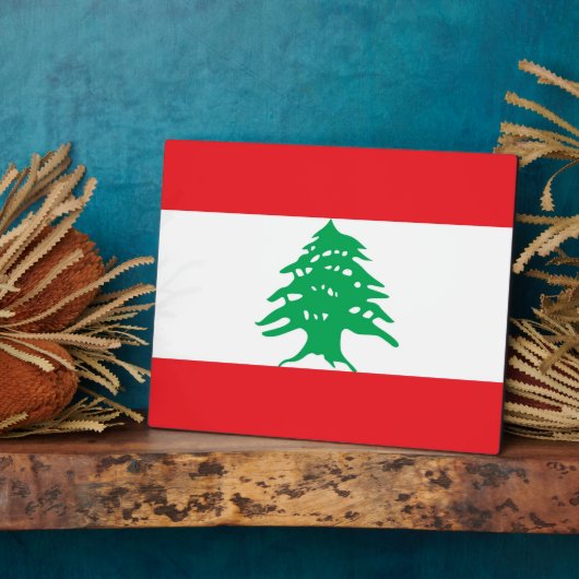 Plaque du drapeau libanais (Côté)