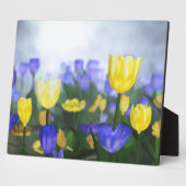 Plaque du Jubilé d'or (Côté)