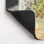 Plaque et tapis de bureau pour souris d'oiseaux (Coin)