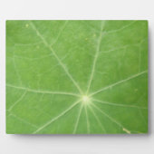 Plaque feuille de Nasturtium (Devant)
