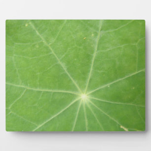 Plaque feuille de Nasturtium