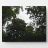 Plaque forestière déplaisante (Devant)