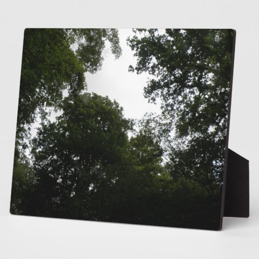 Plaque forestière déplaisante (Côté)