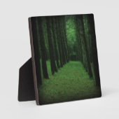 Plaque forestière enchantée (Recto)