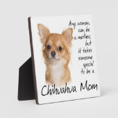 Plaque maternelle de Chihuahua (Recto)