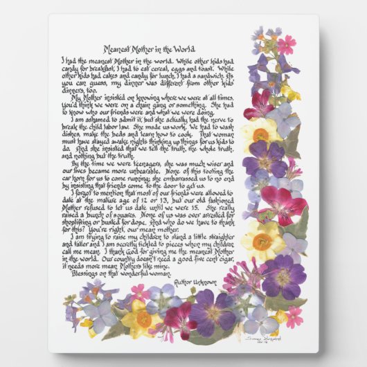 Plaque mère moyenne (Devant)