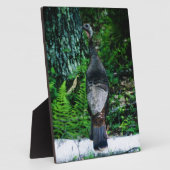 Plaque Mère Turquie (Côté)