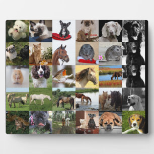 Plaque met 30x foto collage - ELKE gelegenheid Fotoplaat