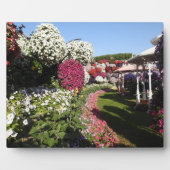 Plaque met petunias fotoplaat (Voorkant)