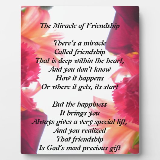 Plaque Miracle of Friendship (Devant)