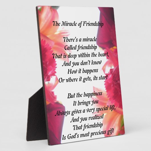 Plaque Miracle of Friendship (Côté)