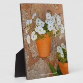 Plaque murale espagnole (Côté)