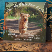Plaque Pet Memorial Four Paws Sunset 2009