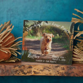 Plaque Pet Memorial Four Paws Sunset 2009 (Côté)