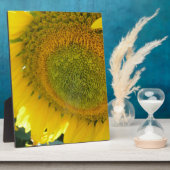 PLAQUE PHOTO 057.JPG (Côté)