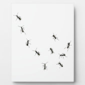 Plaque Photo 10 fourmis (Devant)