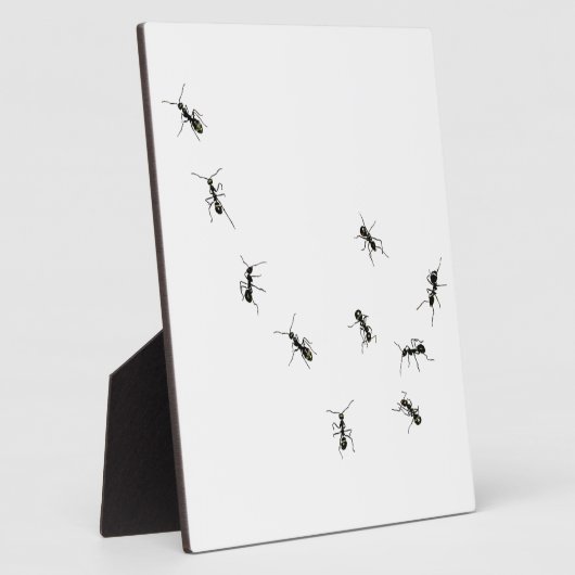 Plaque Photo 10 fourmis (Côté)