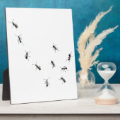 Plaque Photo 10 fourmis (Côté)