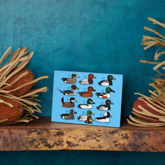 Plaque Photo 12 Canards (Côté)