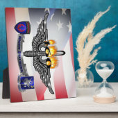 Plaque Photo 160e ESCADRON DE NUIT des opérations spéciales (Côté)