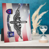 Plaque Photo 160e ESCADRON DE NUIT des opérations spéciales (Côté)