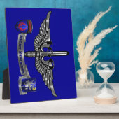 Plaque Photo 160e ESCADRON DE NUIT des opérations spéciales (Côté)