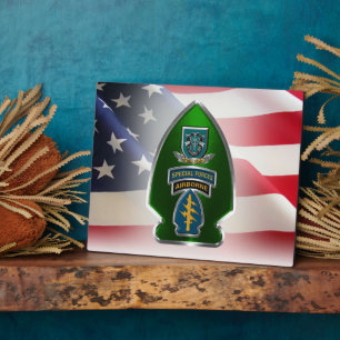 Plaque Photo 19e Groupe des forces spéciales (AIRBORNE)