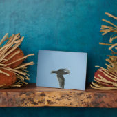 PLAQUE PHOTO 2367 (Côté)