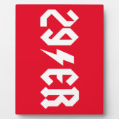 Plaque Photo 29er (Devant)