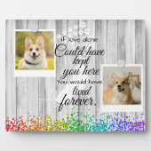 Plaque Photo 2 Photo Collage Pet Souvenir commémoratif (Devant)