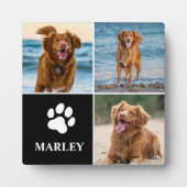 Plaque Photo 3 Collage Photo Chiens Amoureux Animaux Domestique (Devant)