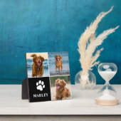 Plaque Photo 3 Collage Photo Chiens Amoureux Animaux Domestique (Insitu)