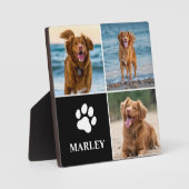 Plaque Photo 3 Collage Photo Chiens Amoureux Animaux Domestique (Recto)