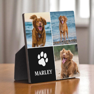 Plaque Photo 3 Collage photo Chiens Amoureux Animaux Moderne