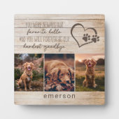 Plaque Photo 3 Photo Rustic Pet Perdre (Devant)