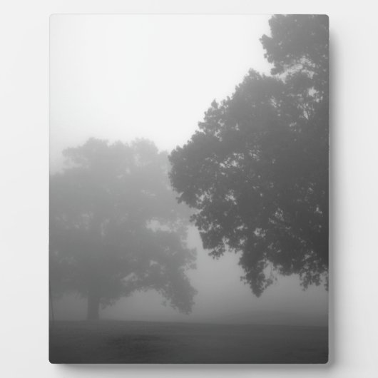 Plaque Photo 3arbres (Devant)