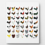 Plaque Photo 49 Coq (Devant)