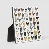 Plaque Photo 49 poules de poulet (Recto)