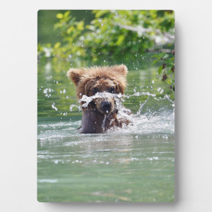 Plaque Photo 5x7 avec l'Eau de grizzli