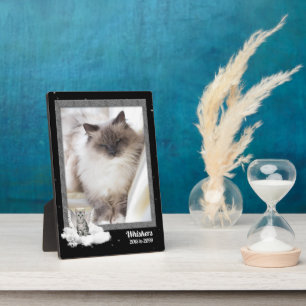 Plaque Photo 5x7 Cat Pet Memorial Silver Photo