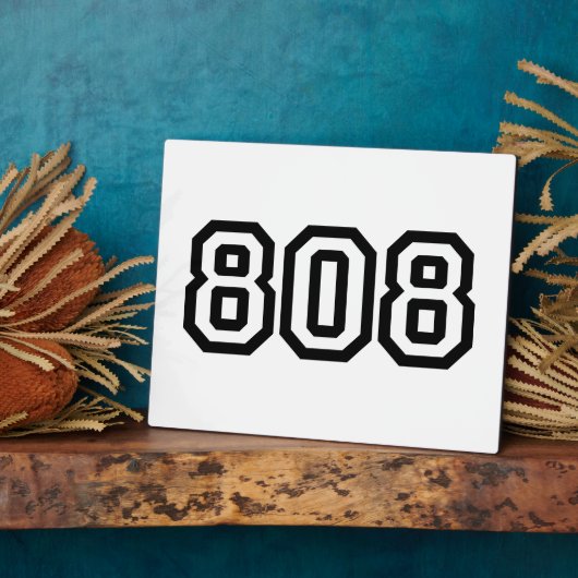 PLAQUE PHOTO 808 (Côté)