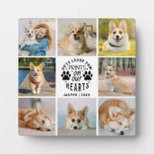 Plaque Photo 8 Photo Collage Pet Souvenir commémoratif (Devant)