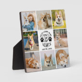 Plaque Photo 8 Photo Collage Pet Souvenir commémoratif (Recto)