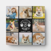 Plaque Photo 8 Photo Collage Pet Souvenir commémoratif (Devant)