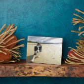 Plaque Photo A Border Collie Dog Running (Côté)