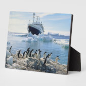 Plaque Photo A Group of Penguins Standing On An Icy Beach (Côté)