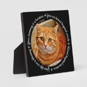 Plaque Photo à la Mémoire du Chat (Recto)