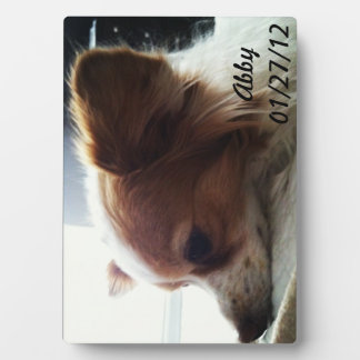 Plaque Photo Abby 2012