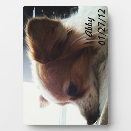 Plaque Photo Abby 2012 (Devant)