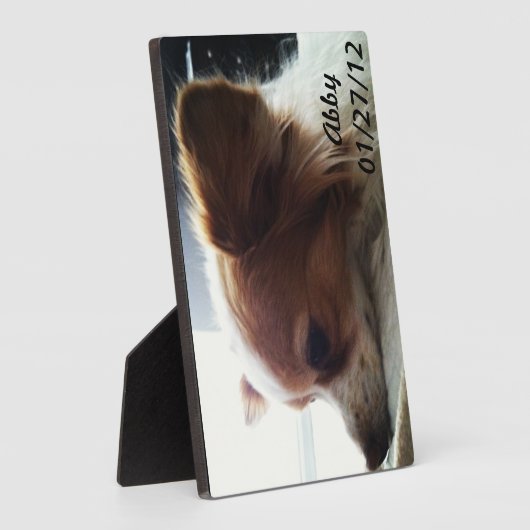 Plaque Photo Abby 2012 (Côté)